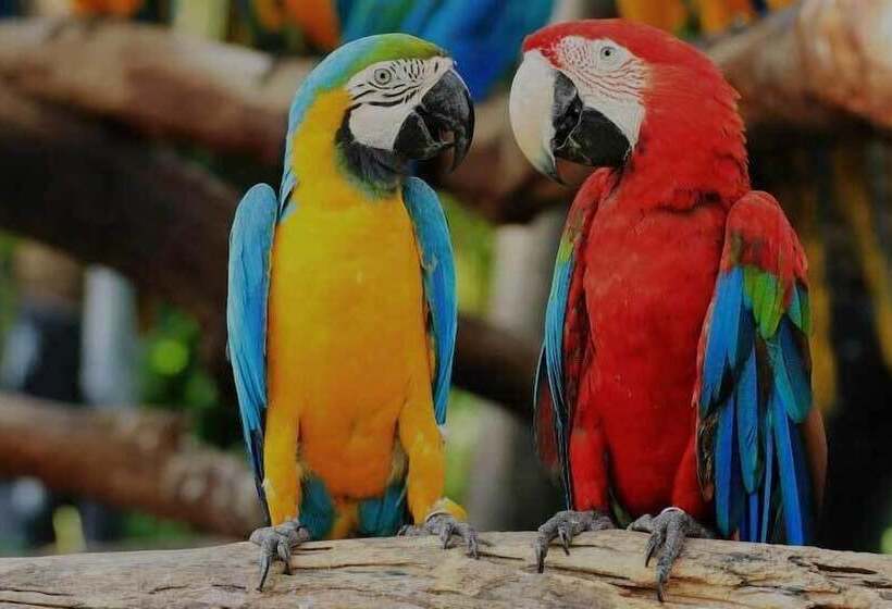 Paradise Cove Luxurious Beach Villas