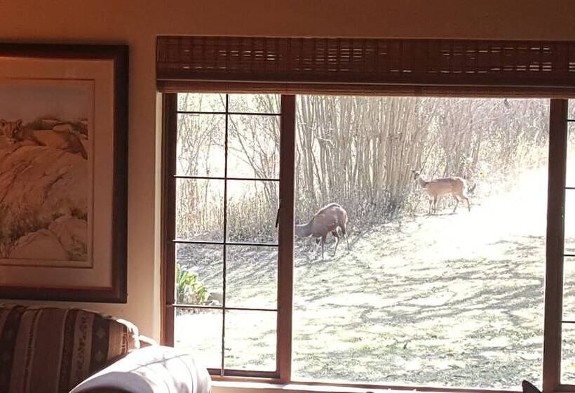 פנסיון Eco Eden Bush Lodge