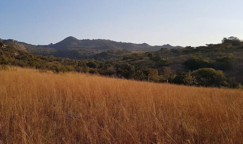 פנסיון Eco Eden Bush Lodge