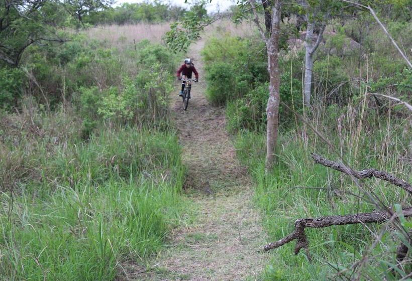 פנסיון Eco Eden Bush Lodge