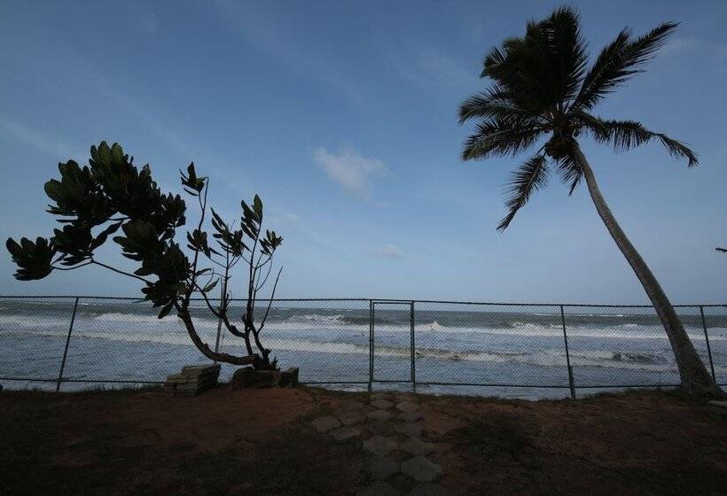 פנסיון Ocean Of Life Ayurvedic Resort