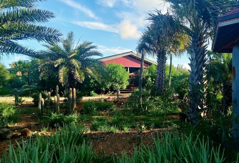استراحتگاه Red Palm Village