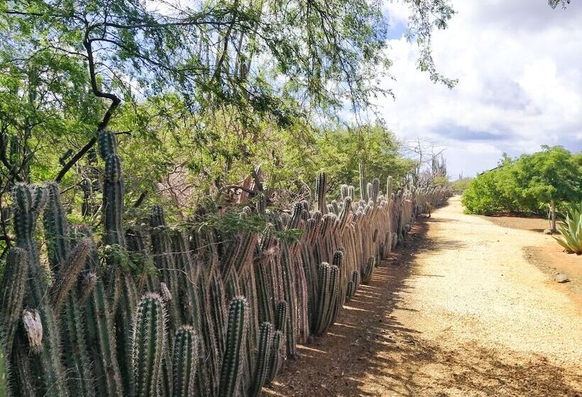 استراحتگاه Red Palm Village