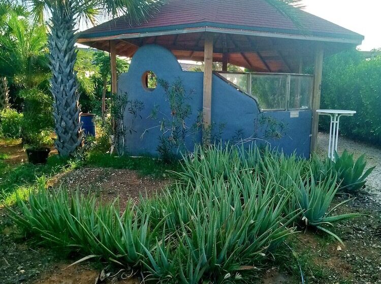 استراحتگاه Red Palm Village