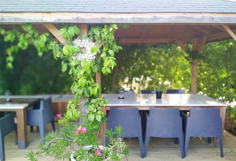 استراحتگاه Red Palm Village