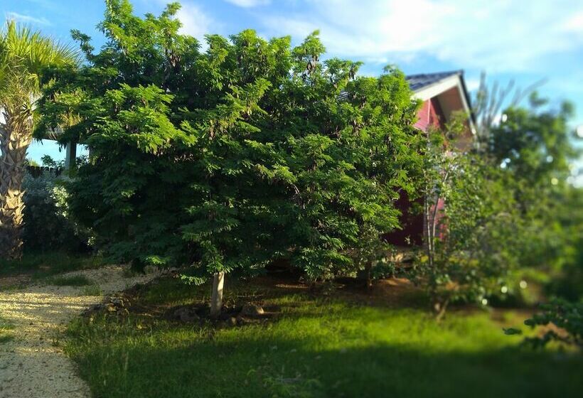 استراحتگاه Red Palm Village