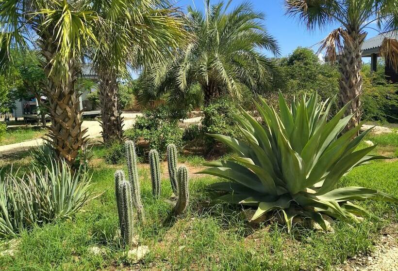 استراحتگاه Red Palm Village