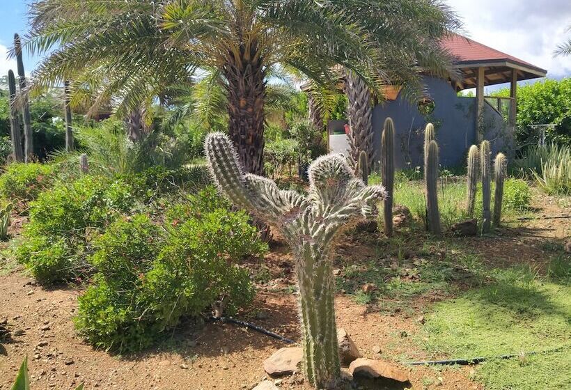 استراحتگاه Red Palm Village