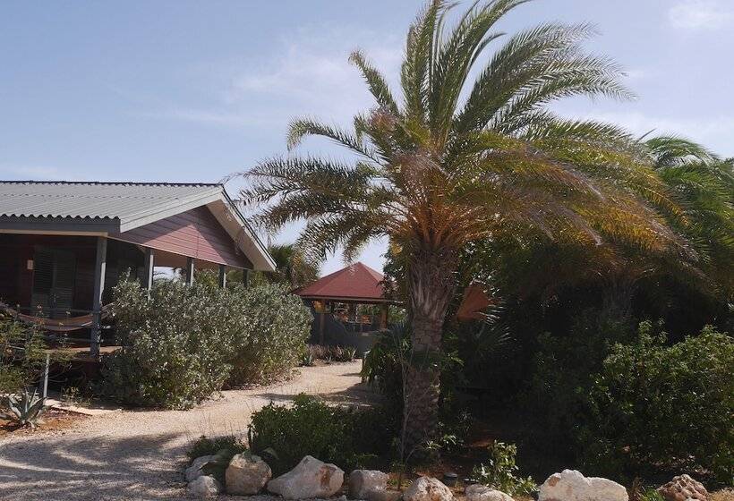 استراحتگاه Red Palm Village