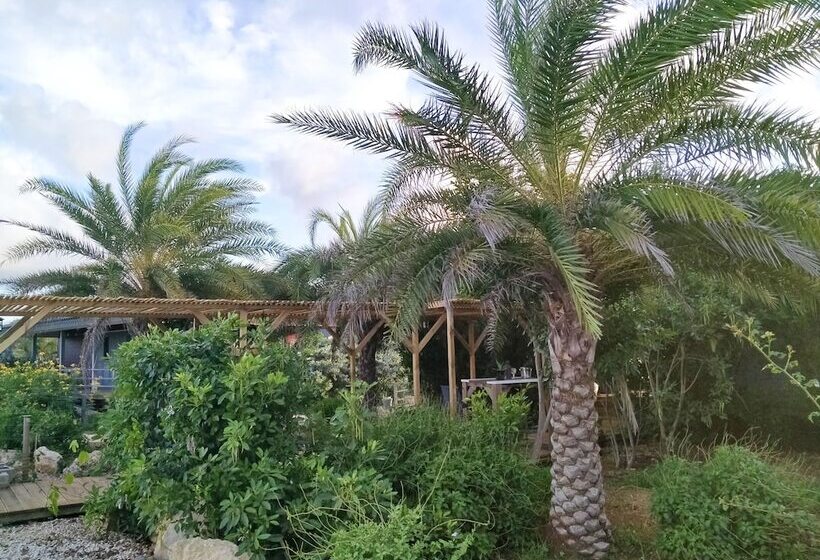 استراحتگاه Red Palm Village