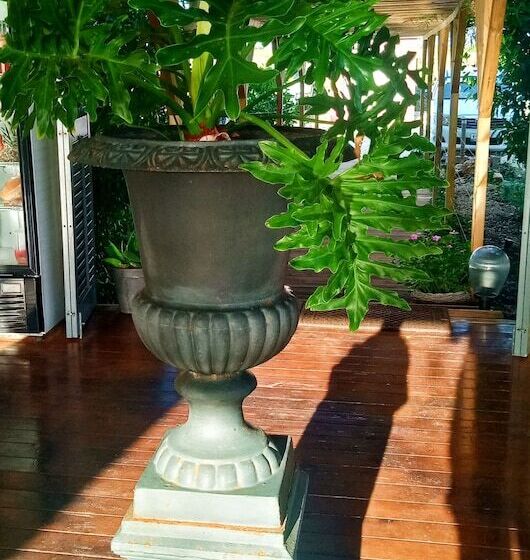 استراحتگاه Red Palm Village