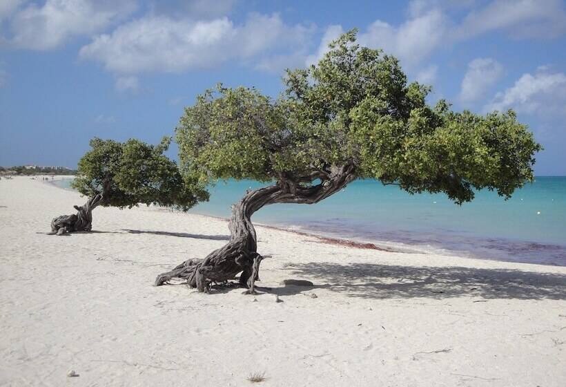 Brisas Studio Apartments