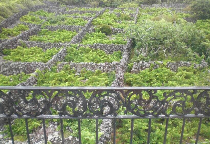 Отель Branco Ii