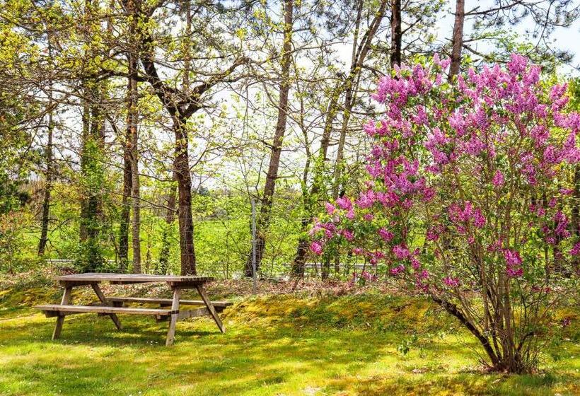 فندق Eco Sud Agen Autoroute