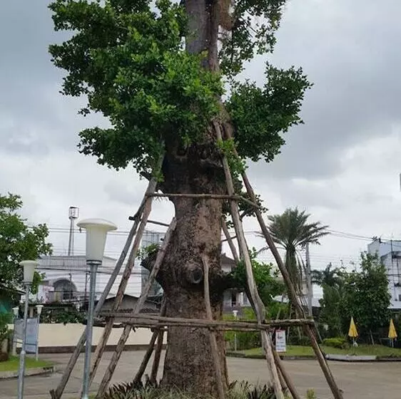 ホテル Park Inn Chiangrai