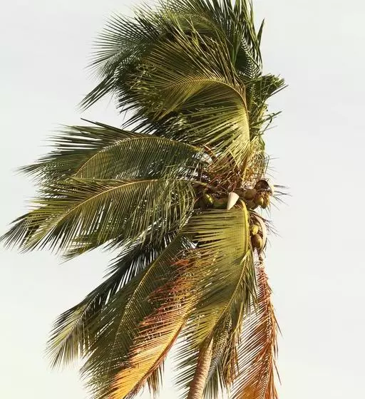 Hotelli Pearl City