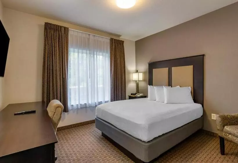 ホテル Stay Over Suites   Fort Gregg Adams Area