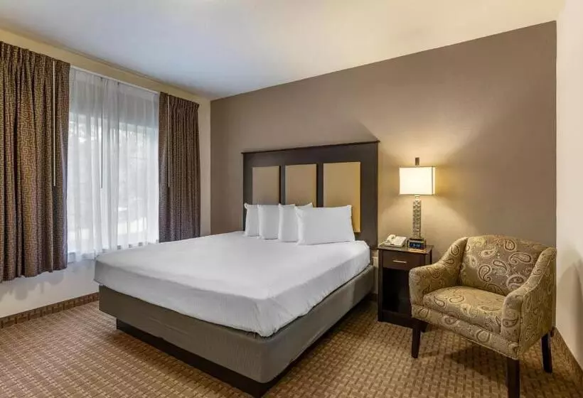 ホテル Stay Over Suites   Fort Gregg Adams Area