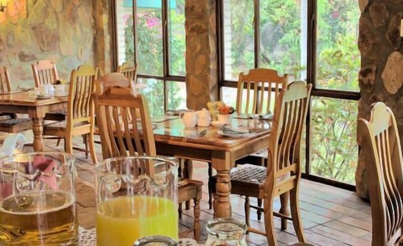 פנסיון The Palms Guesthouse