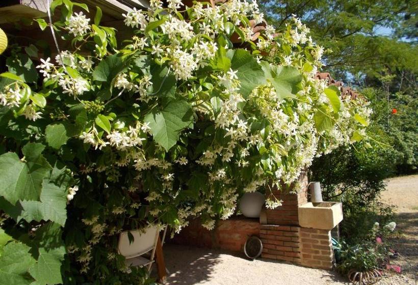 مبيت وإفطار La Cassinette