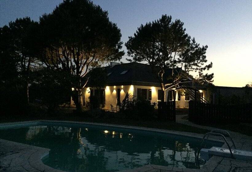 住宿加早餐 La Dolce Vita