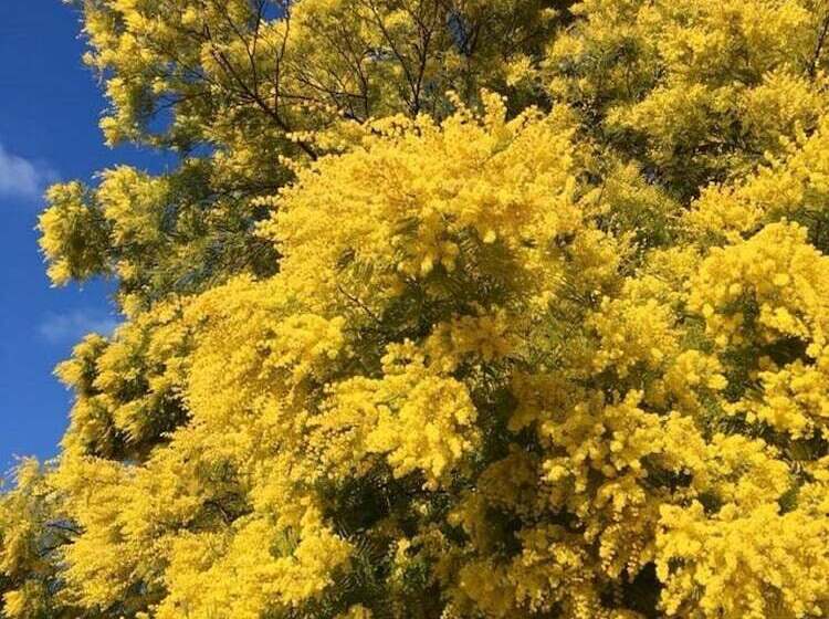 住宿加早餐 La Vignarelle