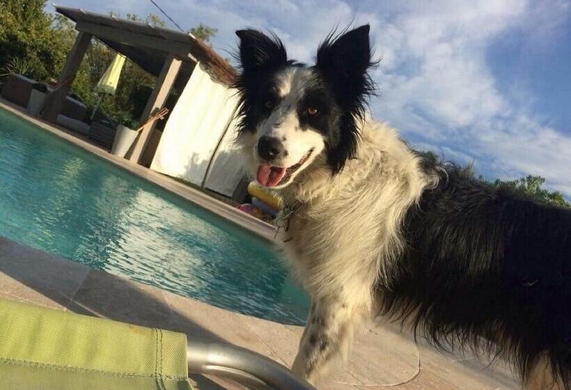 住宿加早餐 La Vignarelle