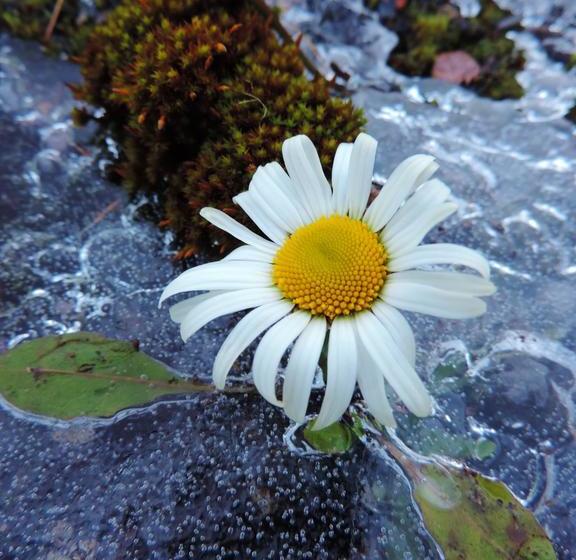 בית מלון כפרי Albergo Ombrettola