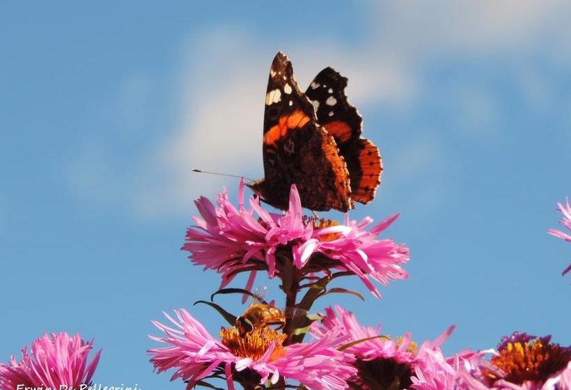 בית מלון כפרי Albergo Ombrettola