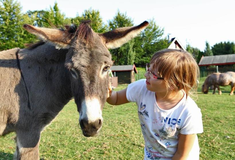 Landhotel Restaurant Beckmann