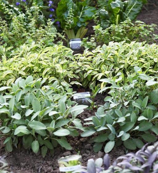 Landhotel Restaurant Beckmann