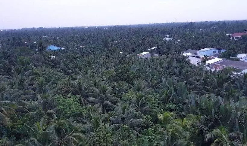 مُتل Trung Luong Hotel 1