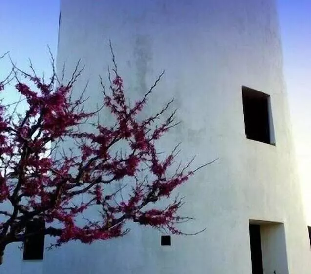 Windmill Complex
