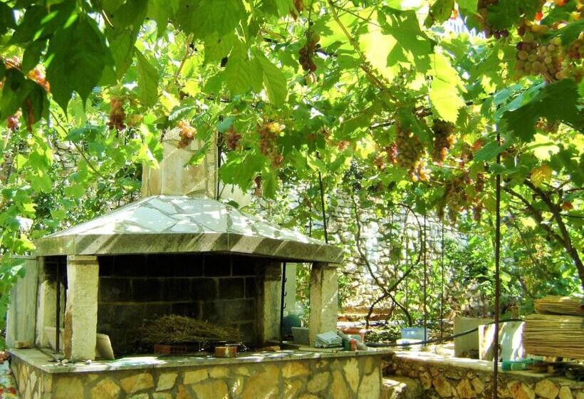 Aamiaismajoitus (B&B) Beleri House