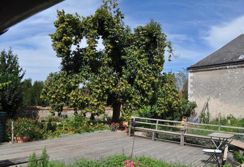 Bed and Breakfast Le Cep En Sancerrois