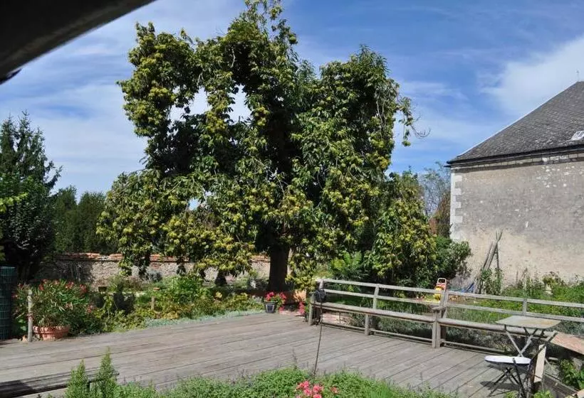 Aamiaismajoitus (B&B) Le Cep En Sancerrois
