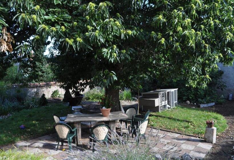 Bed and Breakfast Le Cep En Sancerrois