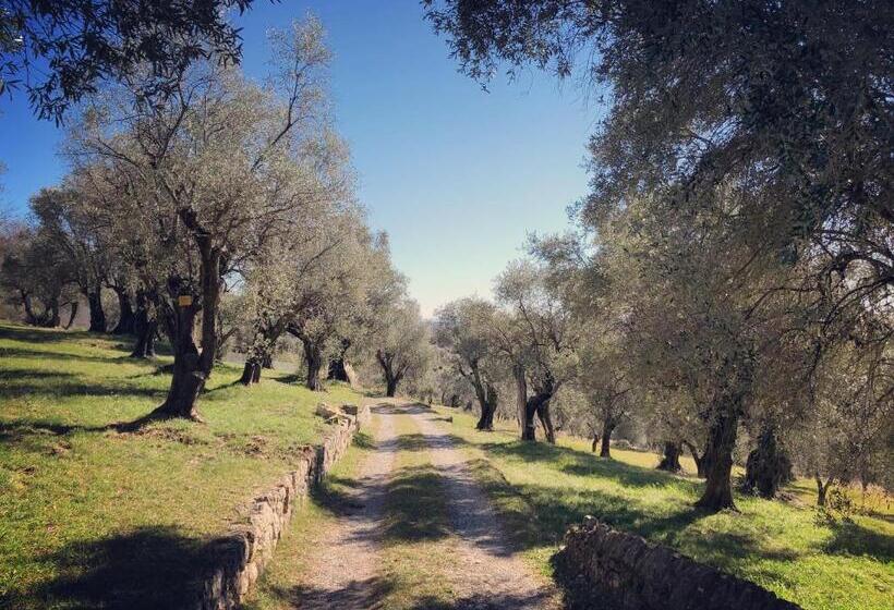 مبيت وإفطار Mas Saint Antoine   Chambres D Hôtes