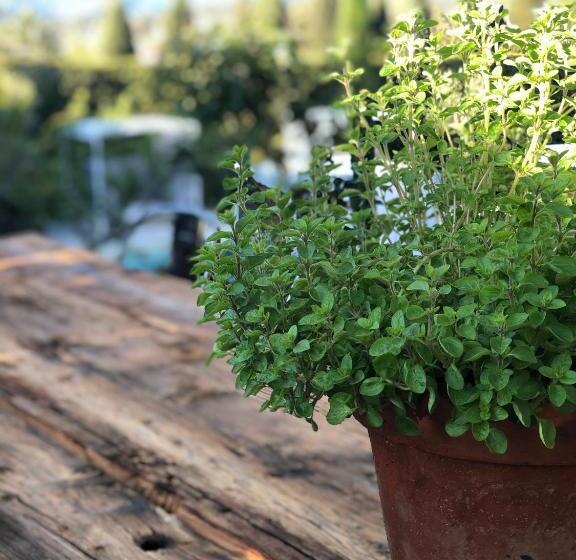 مبيت وإفطار Mas Saint Antoine   Chambres D Hôtes