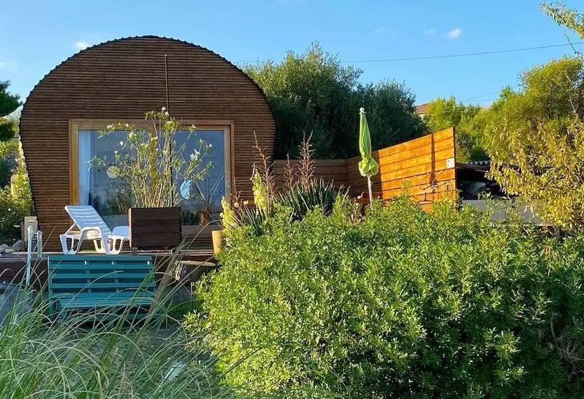 تختخواب و صبحانه Tilley Lounge Cocoon