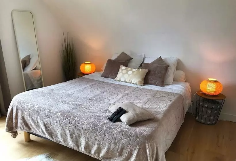 تختخواب و صبحانه Tilley Lounge Cocoon