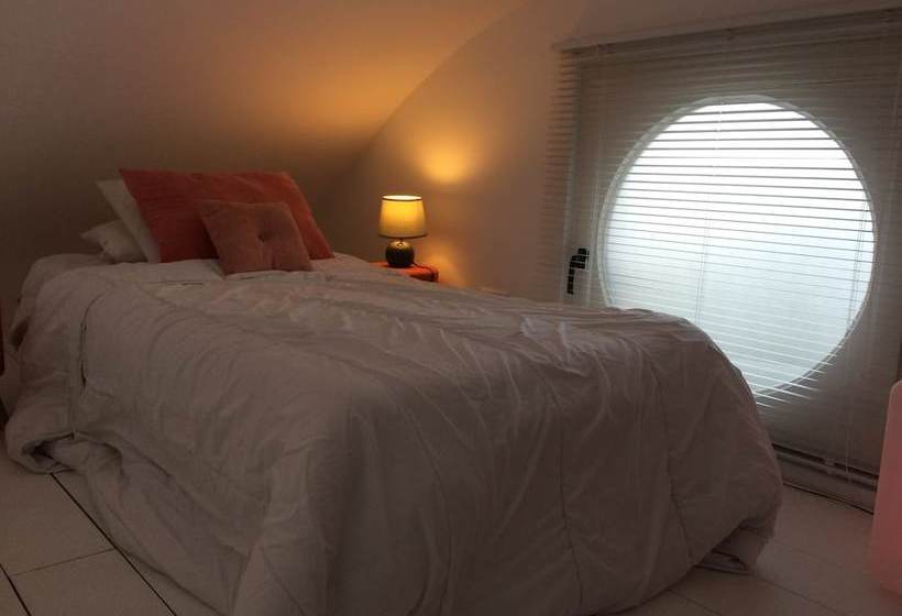 민박 Tilley Lounge Cocoon