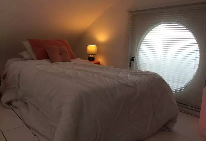 تختخواب و صبحانه Tilley Lounge Cocoon