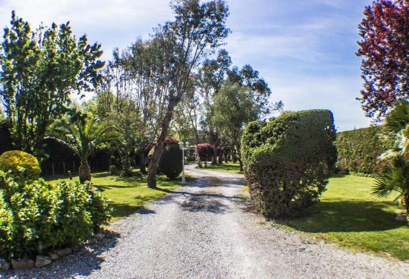 مبيت وإفطار Villa Yoda