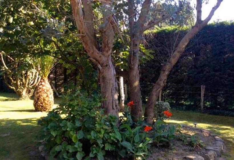 مبيت وإفطار Villa Yoda