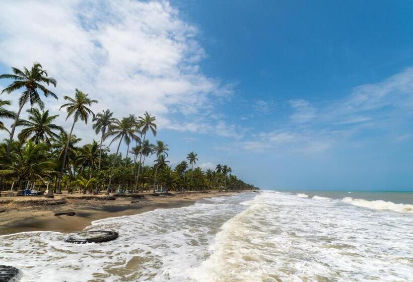 هتل Aite Eco Resort