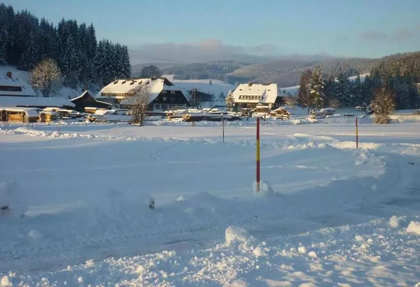 Hotelli Zum Löwen Unteres Wirtshaus