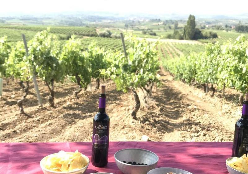 La Casona De Alútiz & Bodega