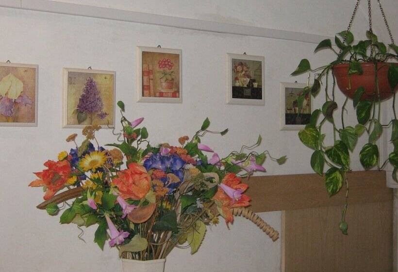 Bed And Breakfast Santa Rosa