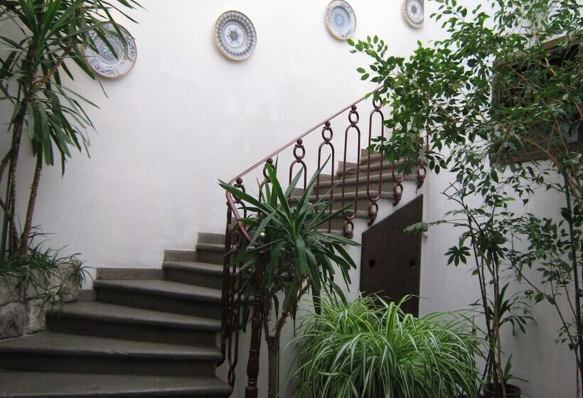 Bed And Breakfast Santa Rosa